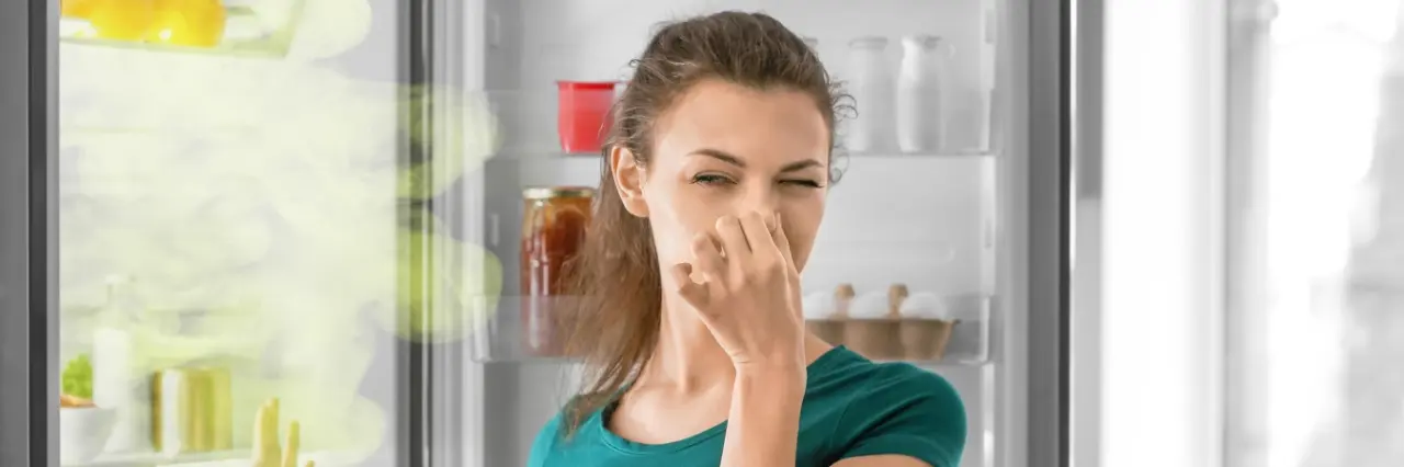 Balık Kokusu Evden Nasıl Çıkar?