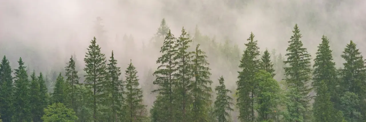 Nem Nedir? Havanın Kalitesini Nasıl Etkiler?